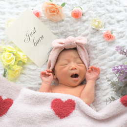 香川県/写真館/スライダー